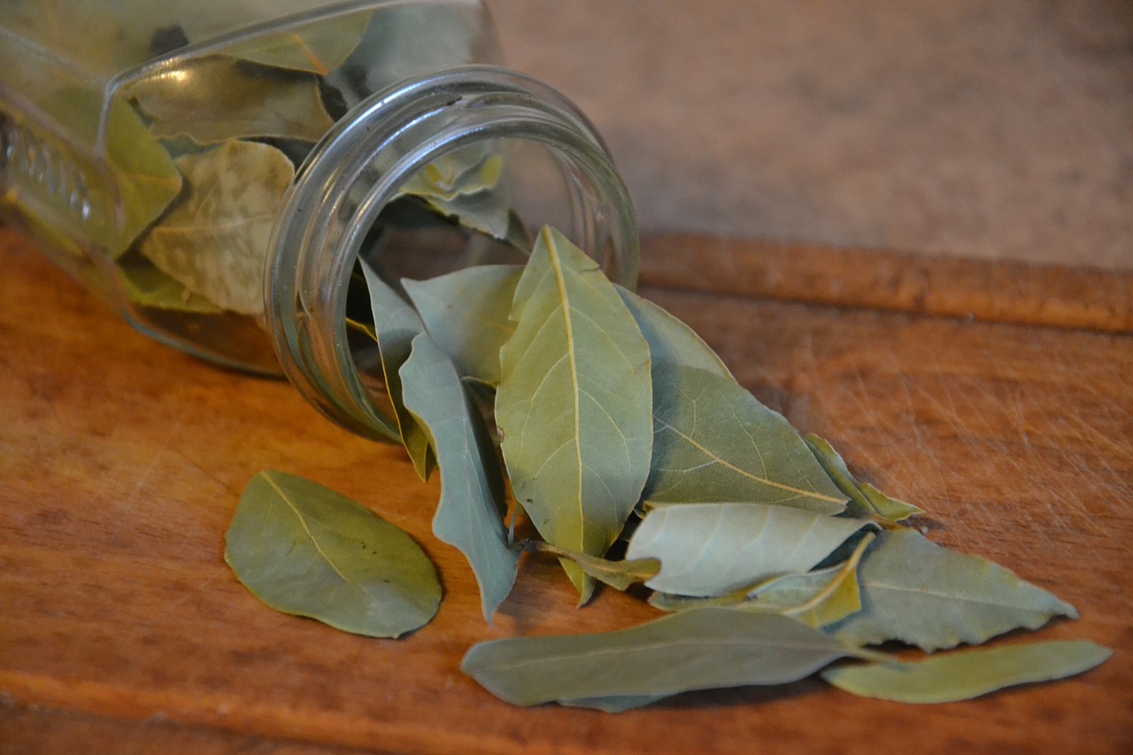 bay leaf- spices wholesale india
